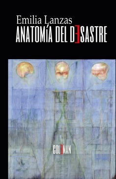 Anatomía del desastre